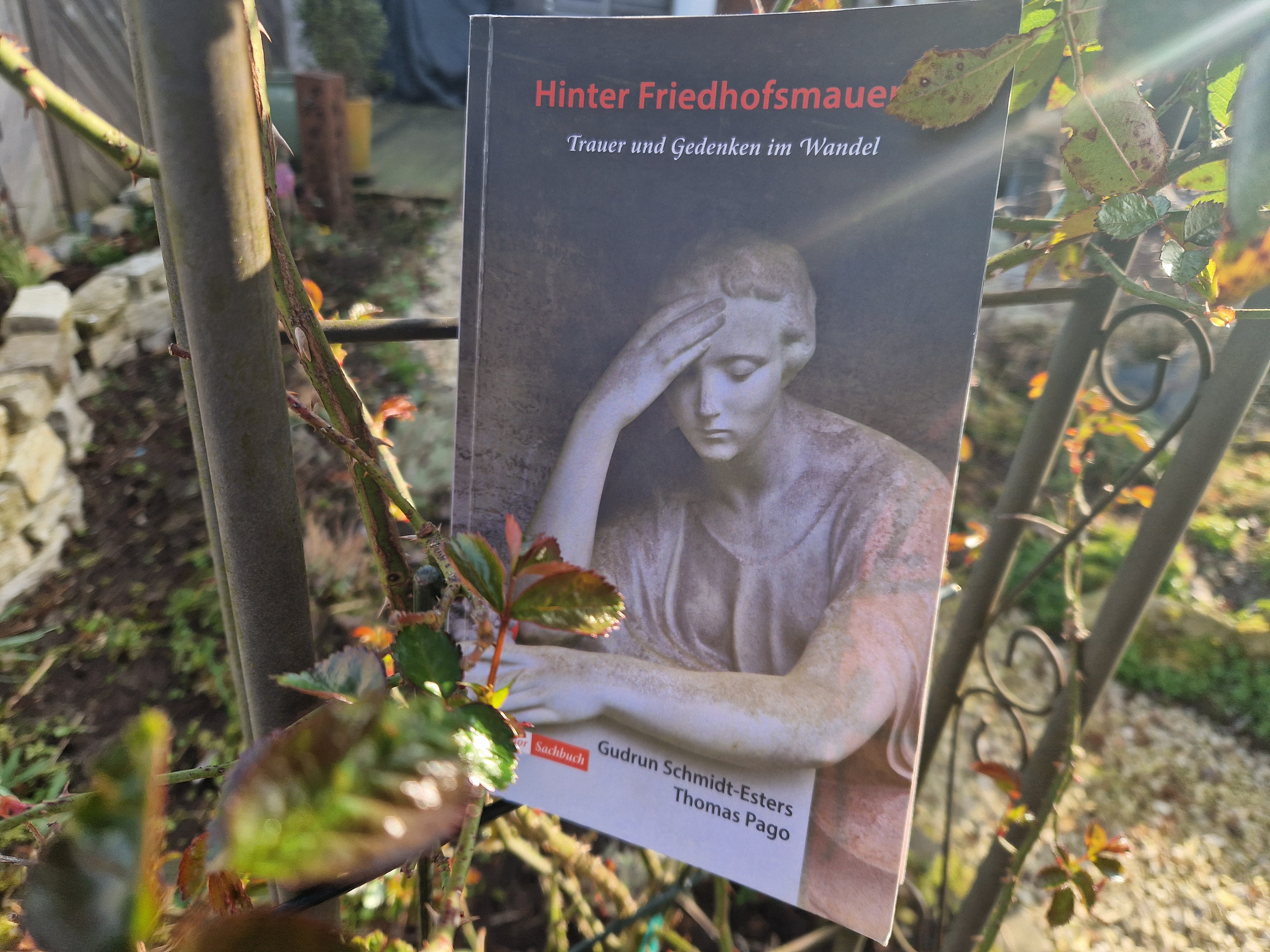 Hinter Friedhofsmauern